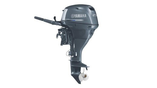 Yamaha F25