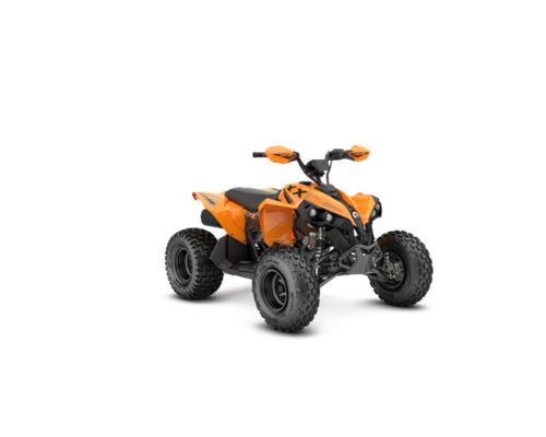 Renegade X XC 110 EFI