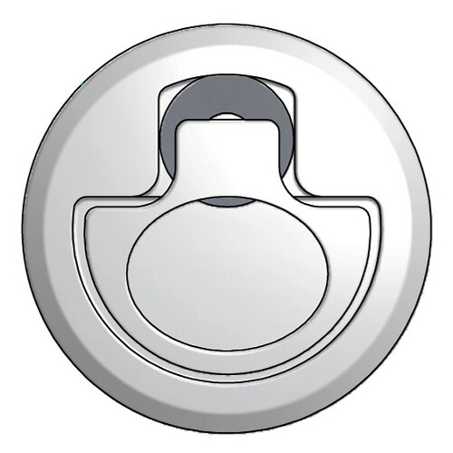 NOSTOSALPA KIRISTÄVÄ