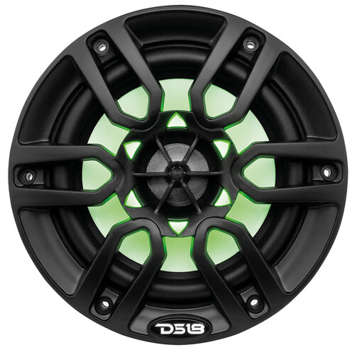 NXL-6 KAIUTIN, MUSTA