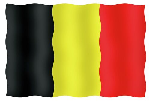 VIERAILULIPPU 20X30CM, BELGIA