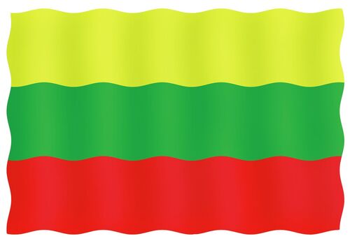 VIERAILULIPPU 20X30CM, LIETTUA