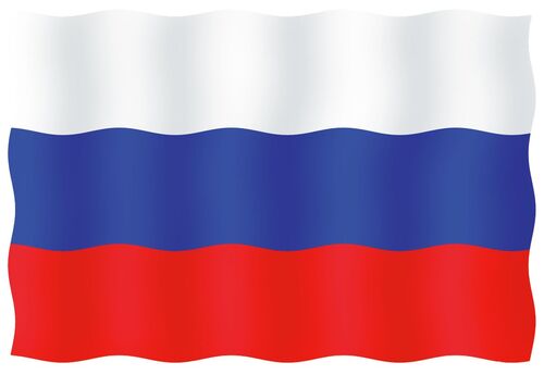 VIERAILULIPPU 20X30CM, VENÄJÄ