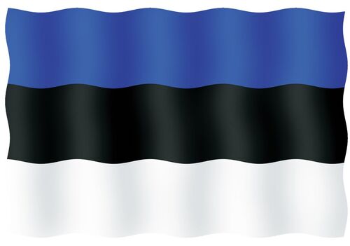 VIERAILULIPPU 20X30CM, VIRO