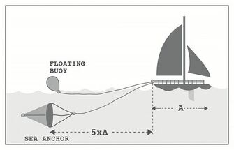 AJOANKKURI SQUIDDY 800X700 MM