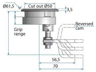 NOSTOSALPA KIRISTÄVÄ