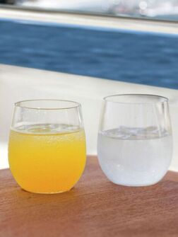 PARTY BOAT VESILASI KIRKAS