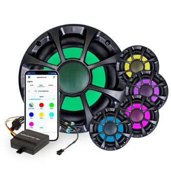 SUBWOOFER 10