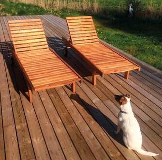 TERASSIÖLJY TEXTROL 5L