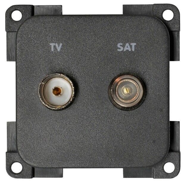 ANTENNIPISTORASIA VALKOINEN