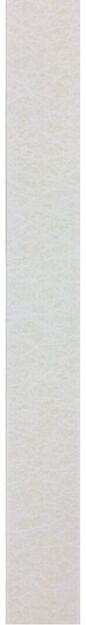 PURJELATTA 40MMx2M