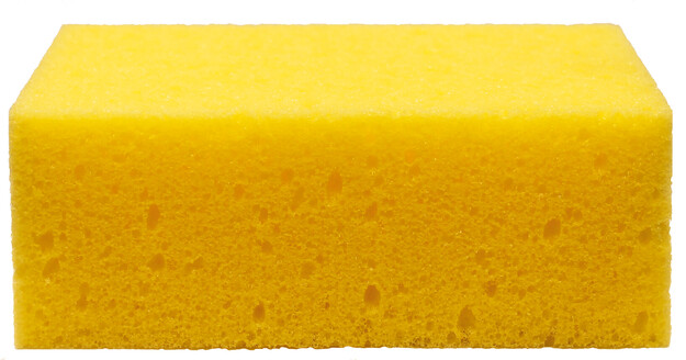 SCHWAN-LAATTA/PESUSIENI