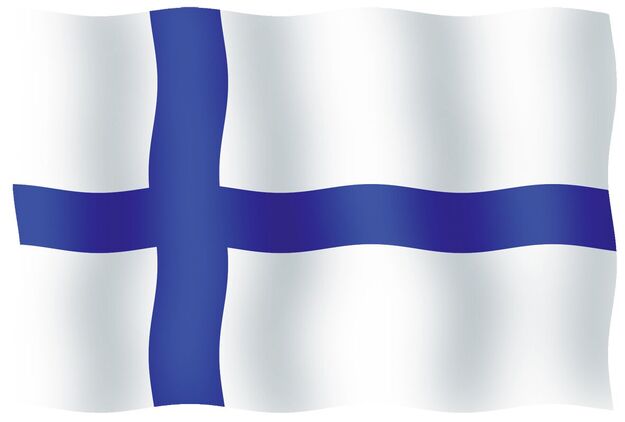 SUOMEN LIPPU 46x75CM