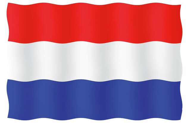 VIERAILULIPPU 20X30CM, HOLLANTI