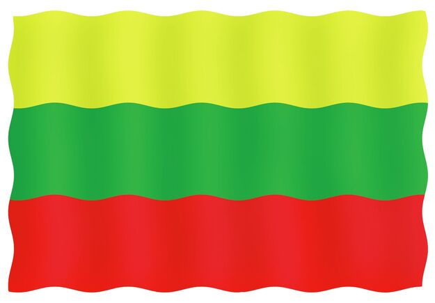 VIERAILULIPPU 20X30CM, LIETTUA