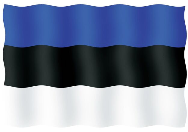 VIERAILULIPPU 20X30CM, VIRO